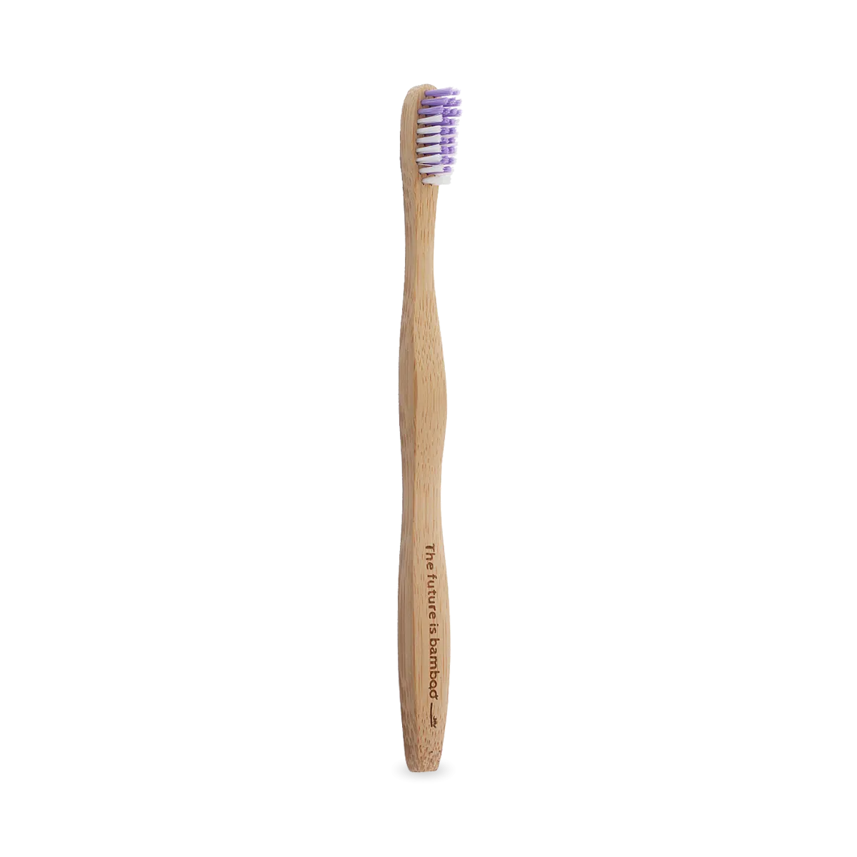 Adult Soft Toothbrush - Soft Lilac