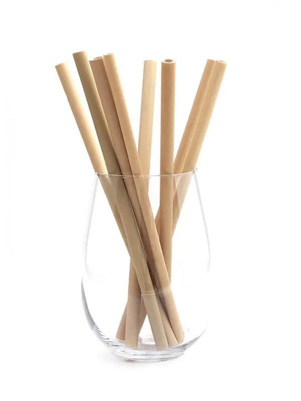 Bamboo Reusable Straws - Set of 40