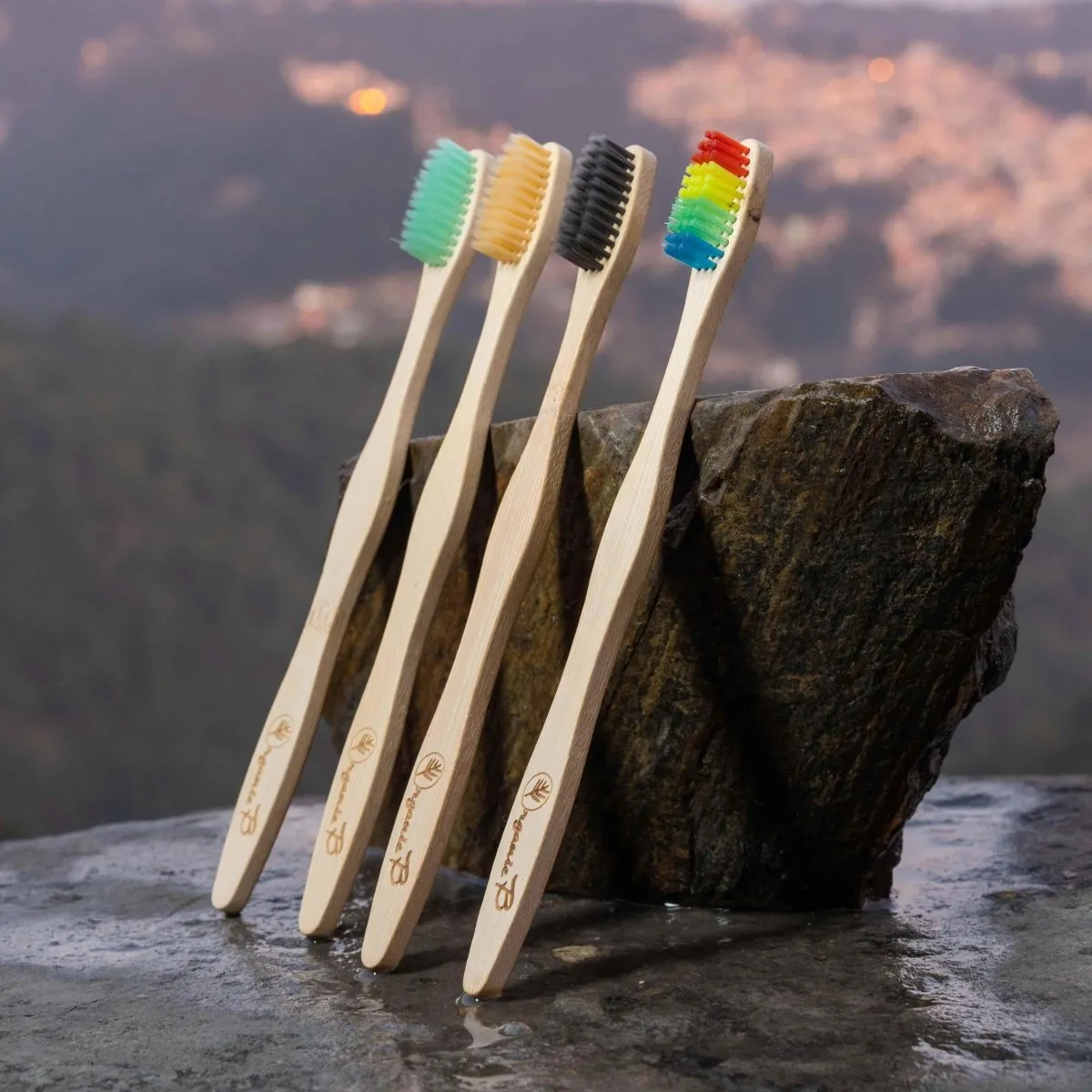 Bamboo Toothbrush Colour Pack 4 Pcs