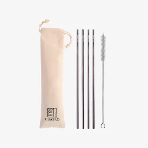 Bent Stainless Steel Straw Kit - Silver