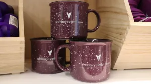 Campfire Mugs - VHC