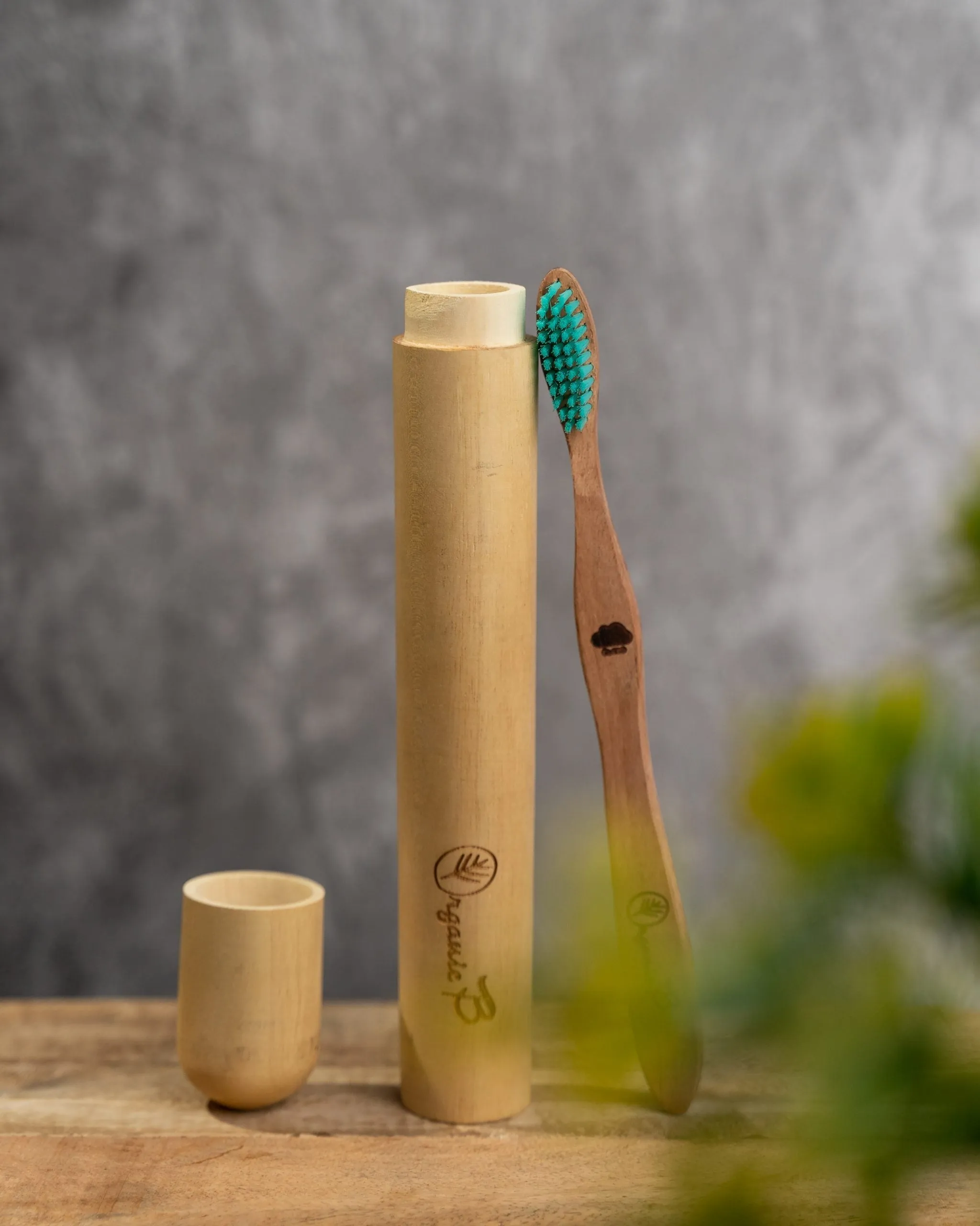 Eco Friendly Travel Case with Neem Toothbrush