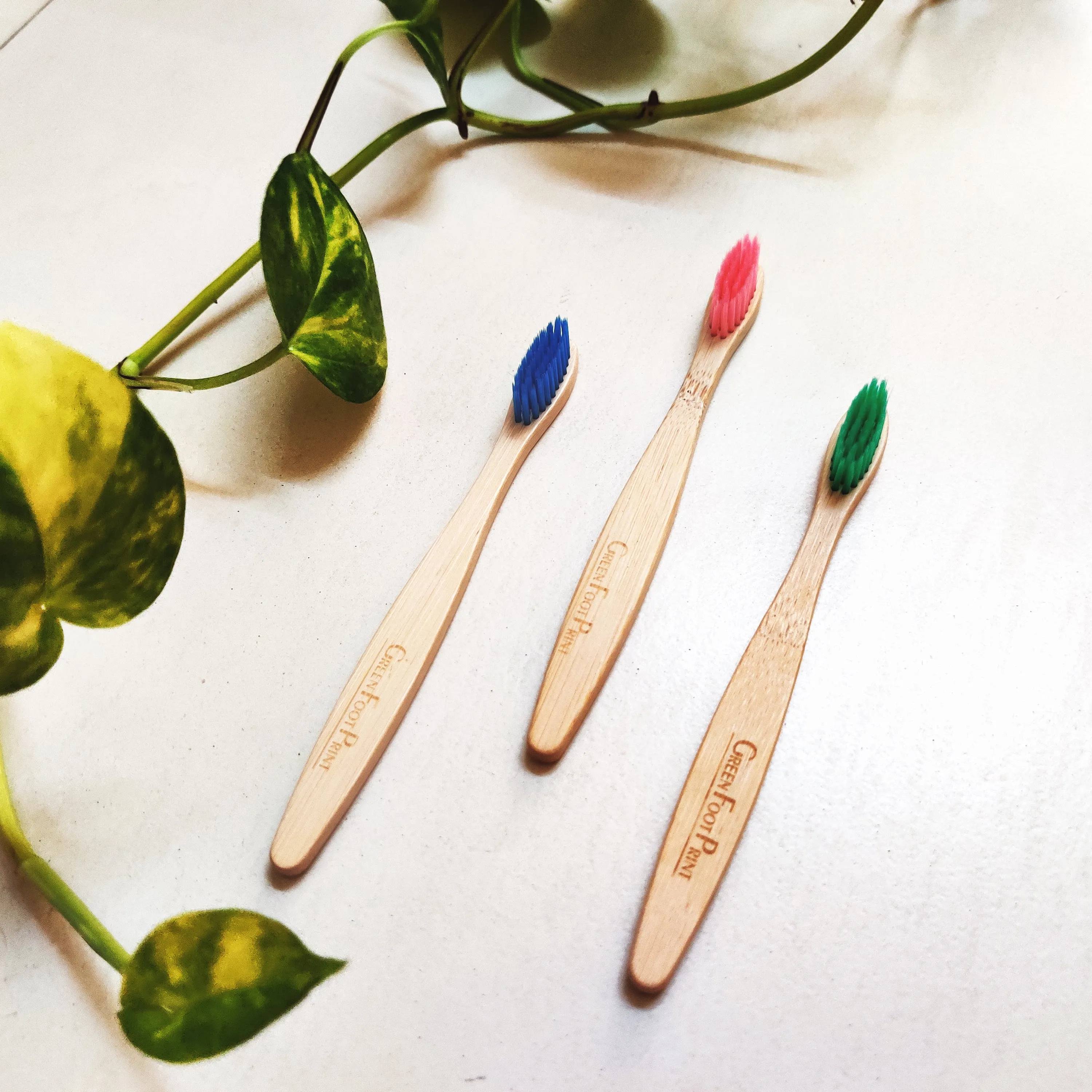 Natural Bamboo Kids Toothbrush | Pack of 2 | Assorted colours