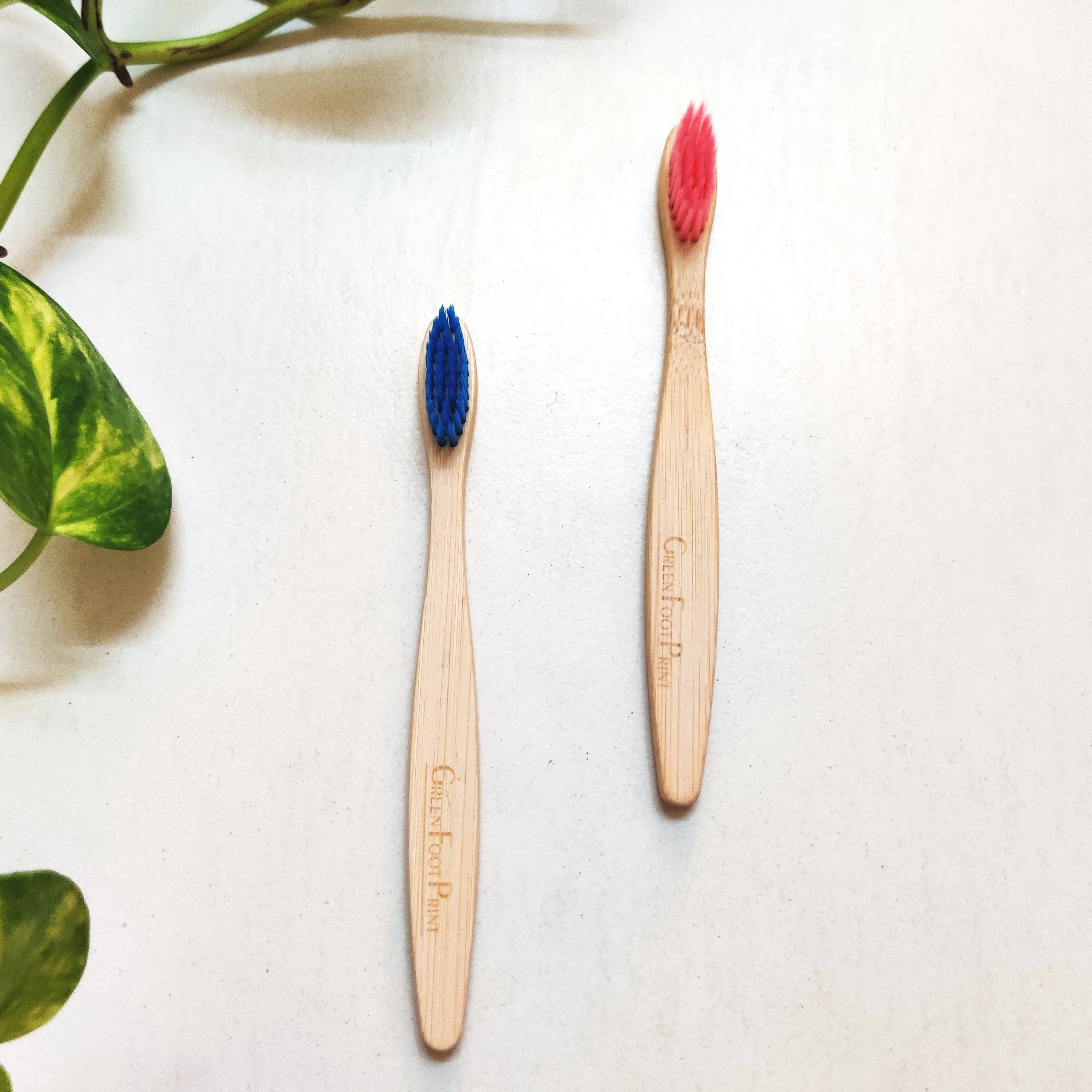 Natural Bamboo Kids Toothbrush | Pack of 2 | Assorted colours