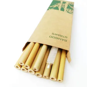 Natural organic bamboo straw set