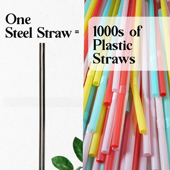 Reusable & Eco-friendly Stainless Steel Straws- Pack of 4