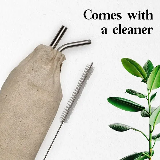 Reusable & Eco-friendly Stainless Steel Straws- Pack of 4