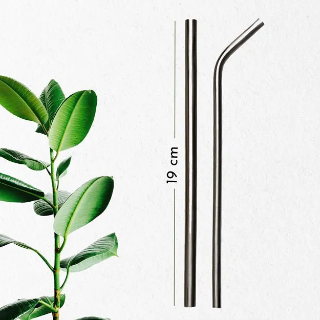 Reusable & Eco-friendly Stainless Steel Straws- Pack of 4